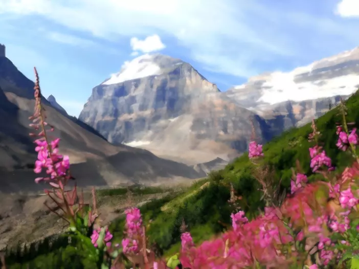 Optimasi Warna dan Pencahayaan