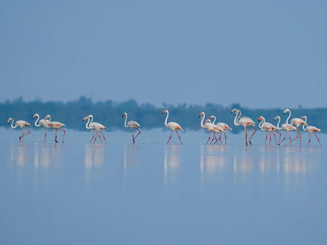 이미지 화질 개선