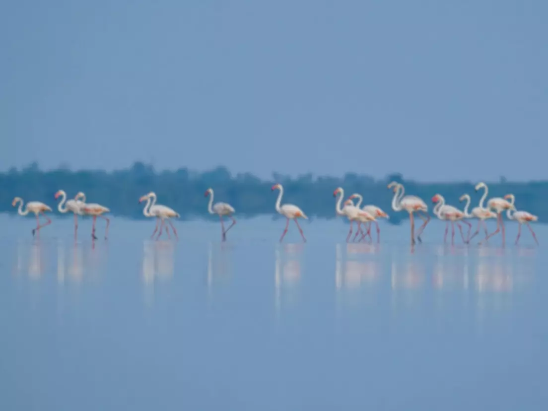 이미지 화질 개선