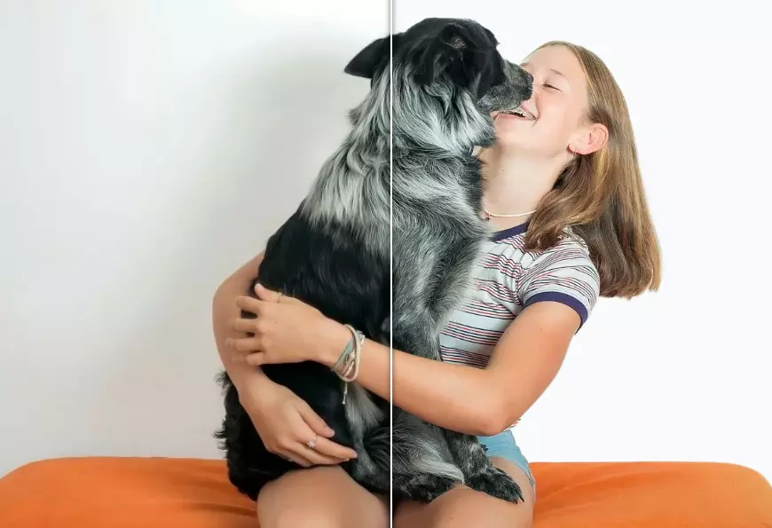 transparent background