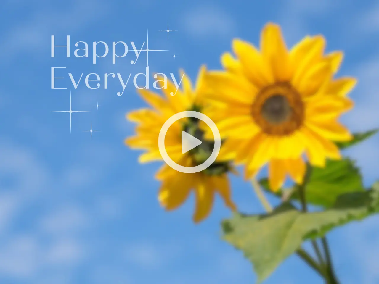 Automatically Optimize Video Colors