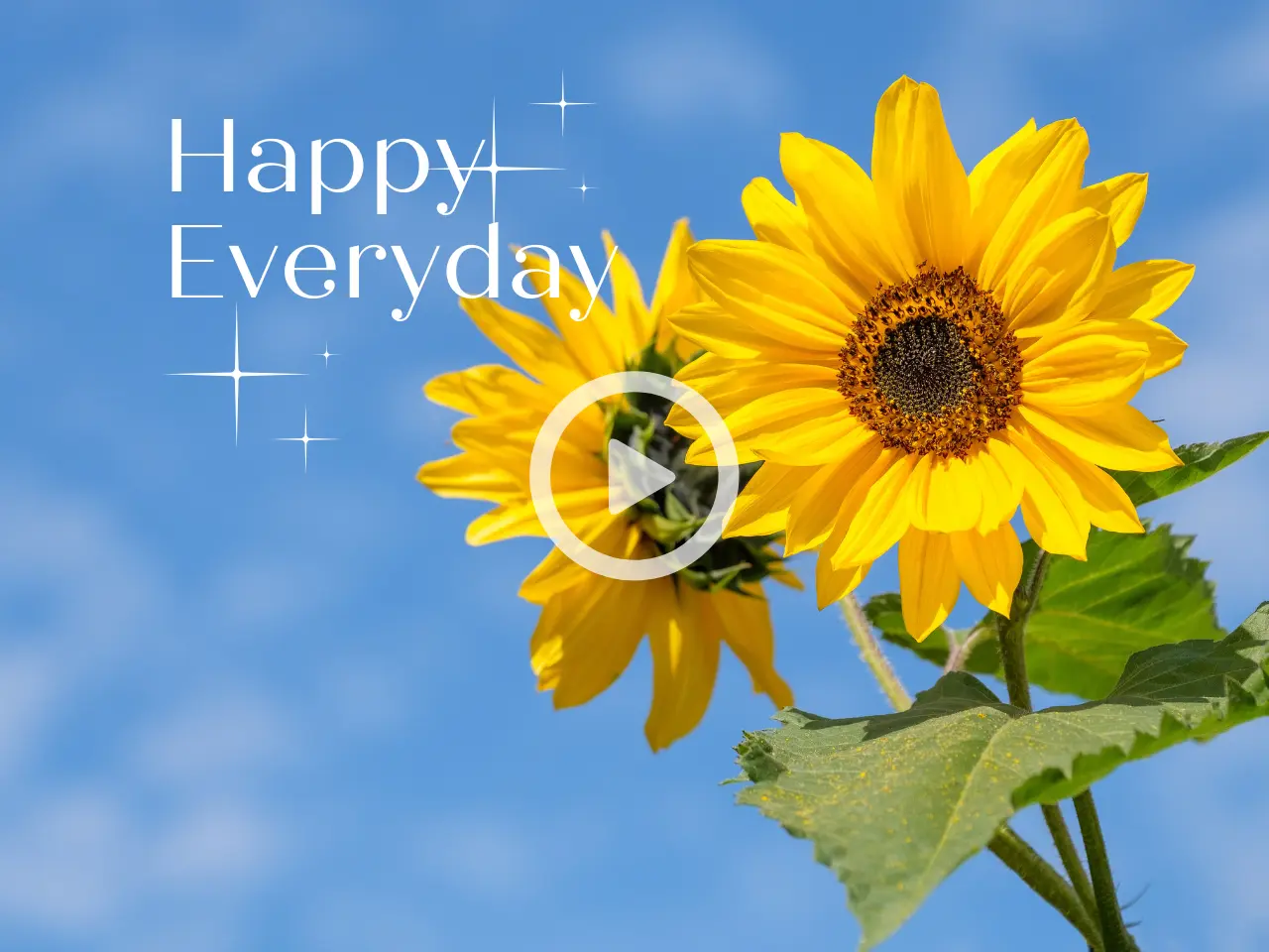 Automatically Optimize Video Colors