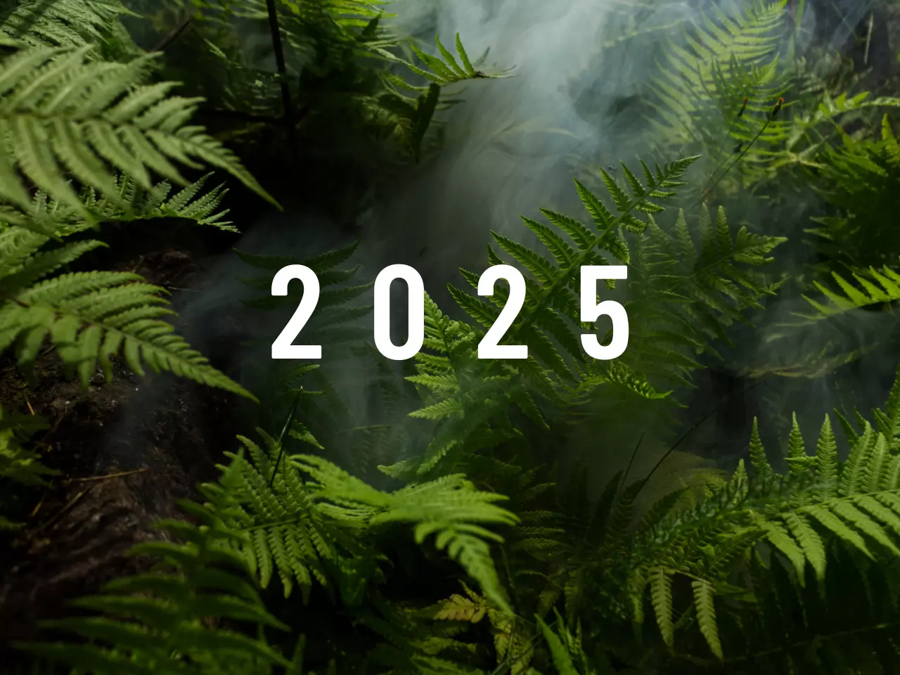 Automatic Blur Removal & Clarity Enhancement